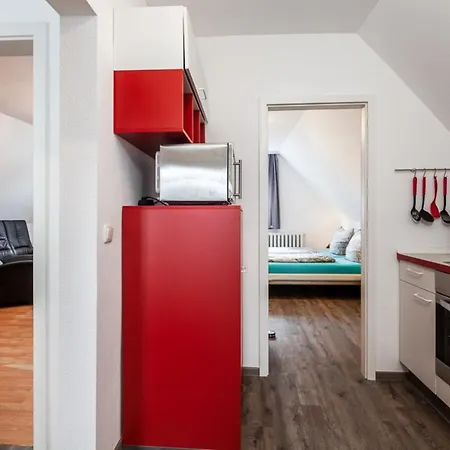 Jack Russell Appartement